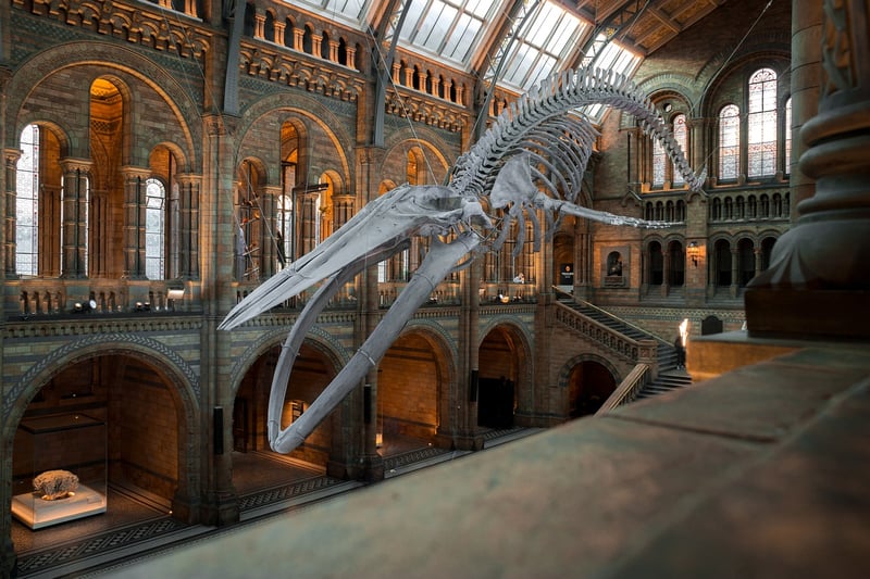 Quirky Museum